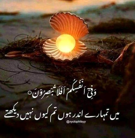 Islamic Quotes image