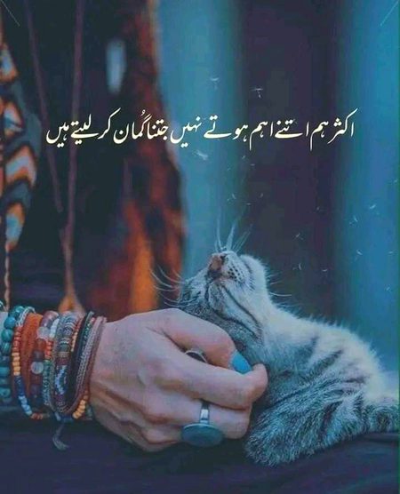 Sad Poetry image