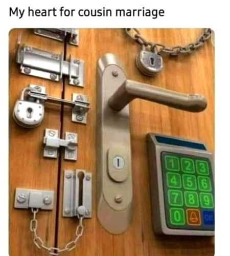 Memes & Satire image