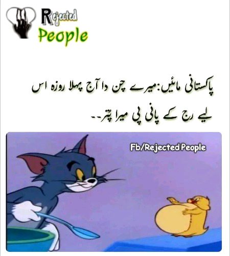 Memes & Satire image
