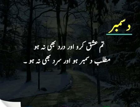 Attitude Poetry image