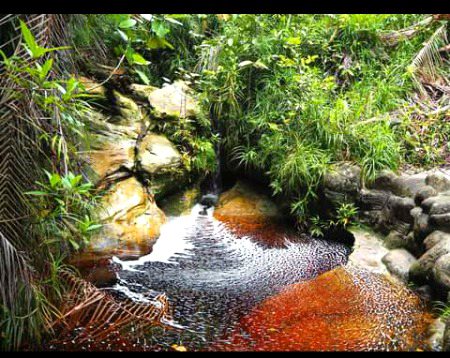 Beautiful Nature image