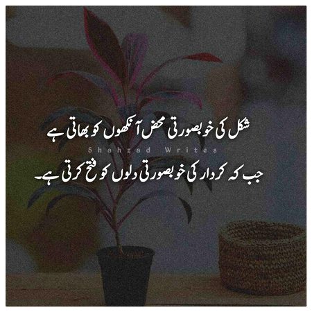 Life Advice image