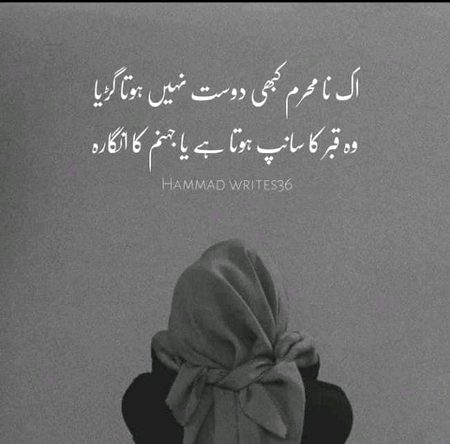 Life Advice image