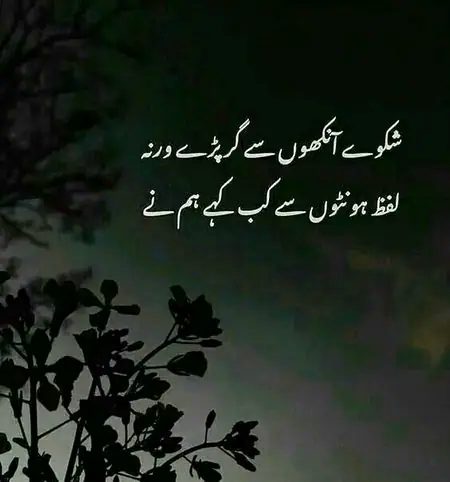 Sad Poetry image
