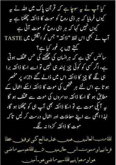 Islamic Quotes image