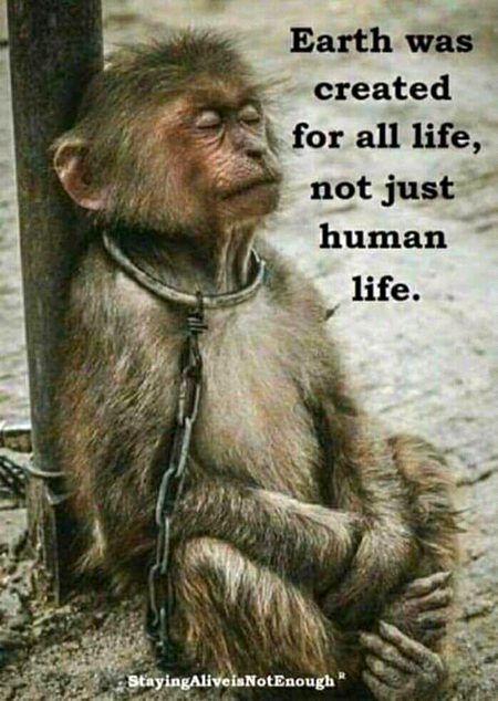Life Advice image