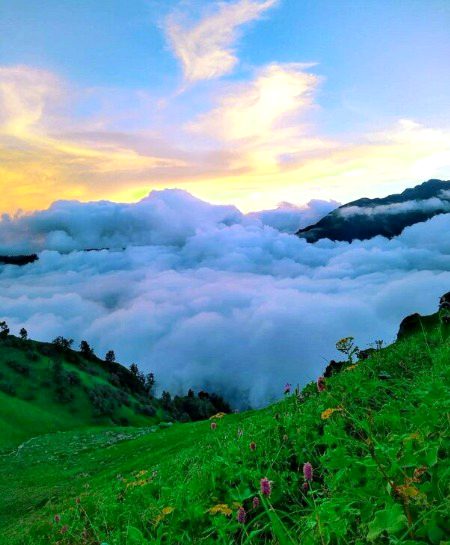 Beautiful Nature image