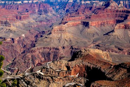 Beautiful Nature image