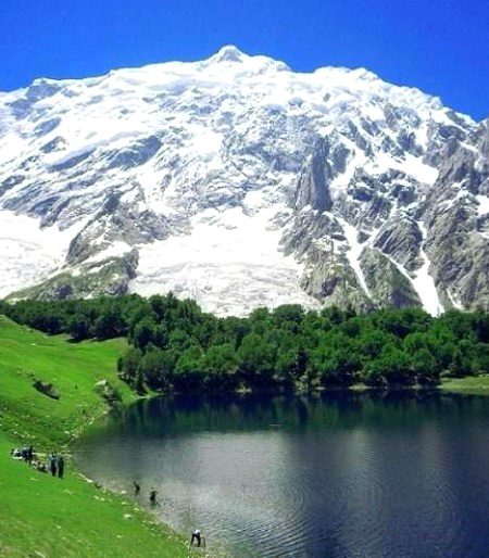 Beautiful Nature image