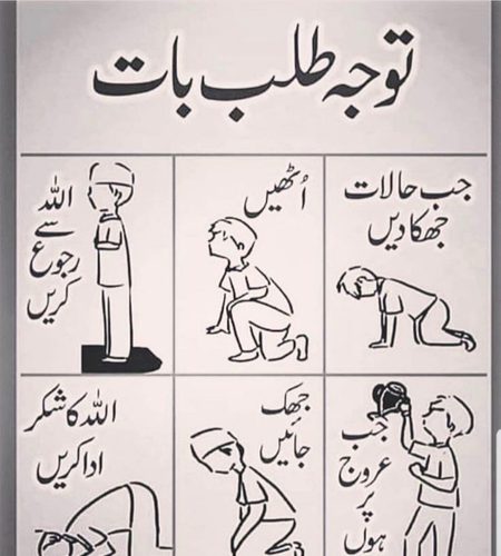 Life Advice image