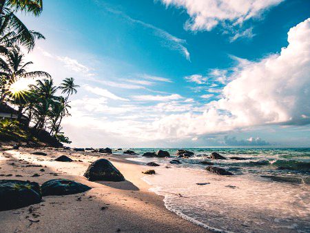 Beautiful Nature image