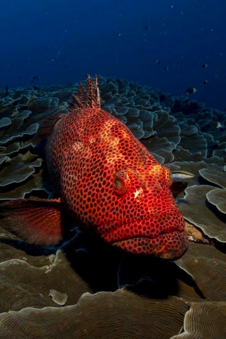 Beautiful Nature image