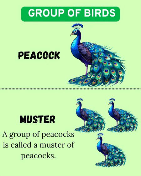 Tips for Students image
