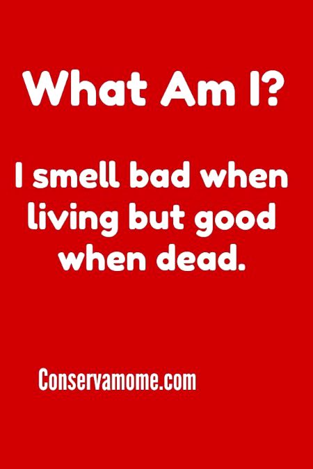 Riddles & Puzzles image