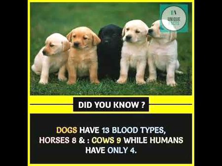 Interesting Posts image