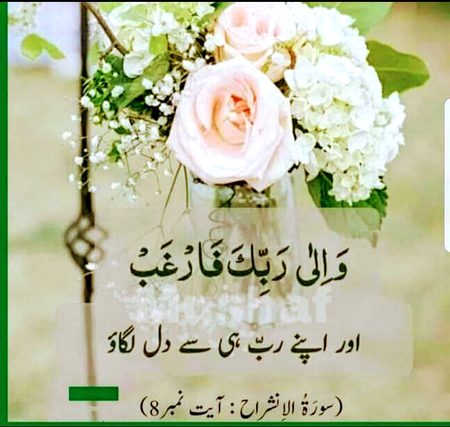 Islamic Quotes image
