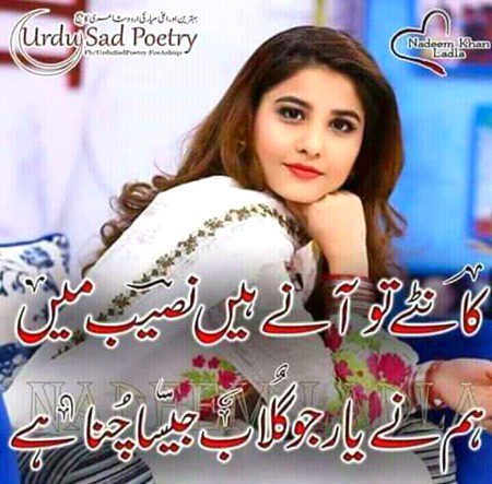 Romantic Poetry image