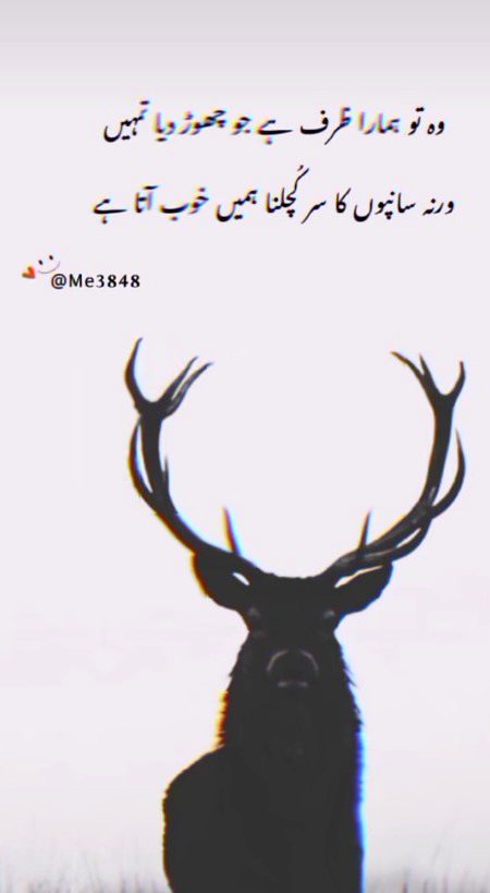 Attitude Poetry image