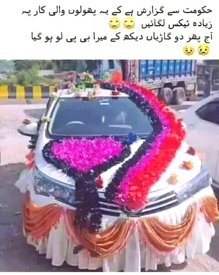 Memes & Satire image