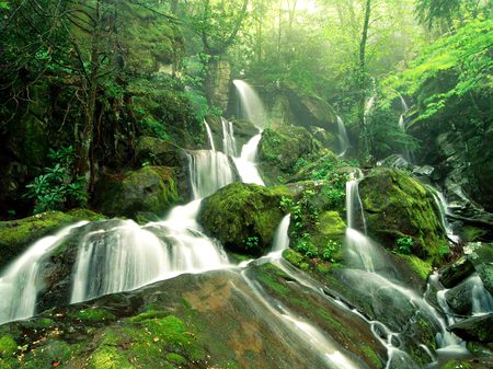 Beautiful Nature image