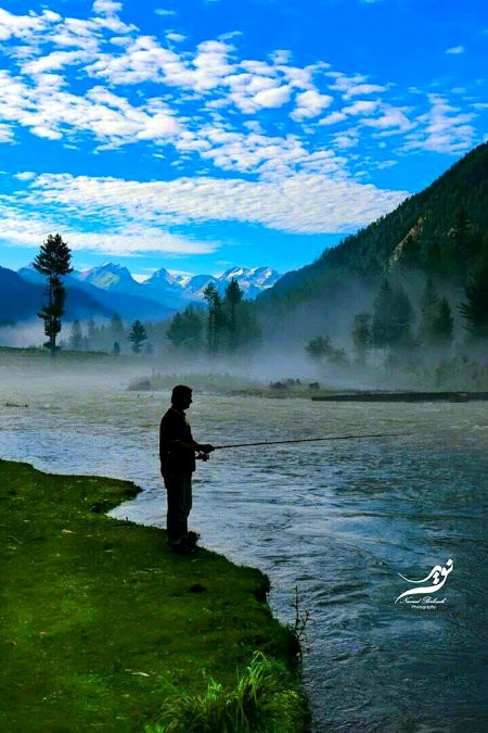 Beautiful Nature image