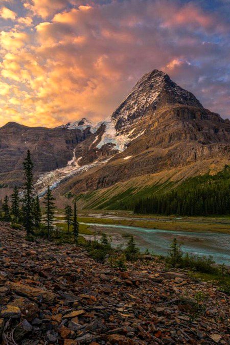 Beautiful Nature image