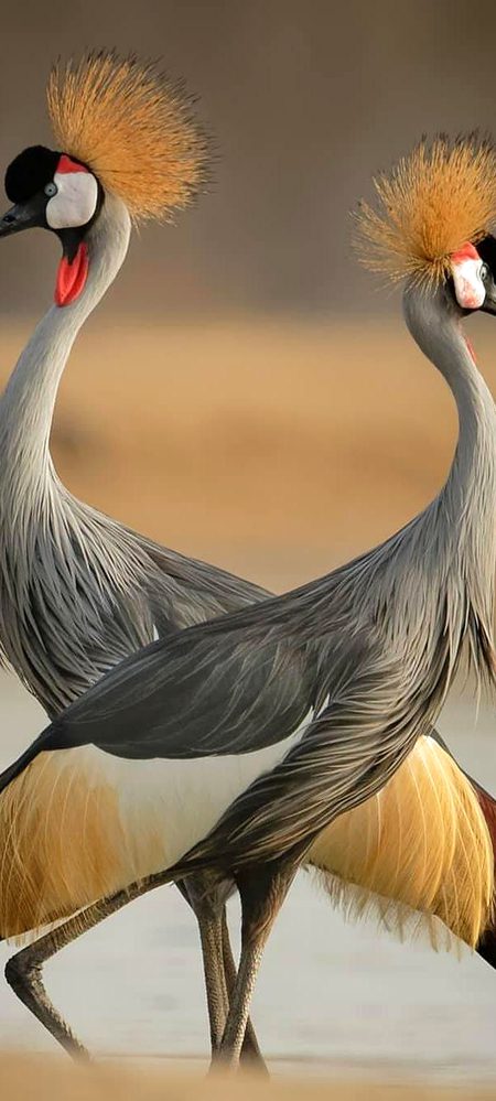 Beautiful Nature image