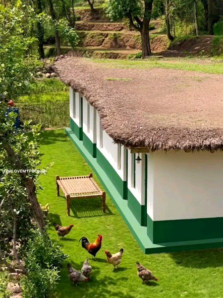 Beautiful Nature image