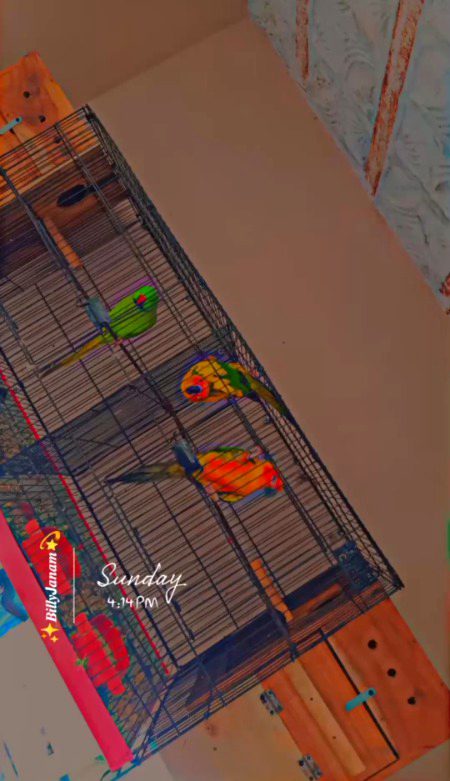 Beautiful Nature image