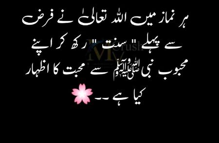 Islamic Quotes image