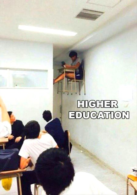 Memes & Satire image