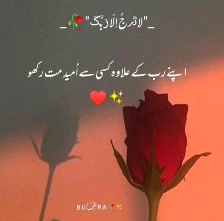 Islamic Quotes image