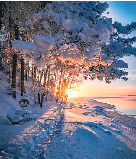 Beautiful Nature image