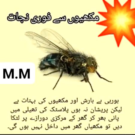 Social media post