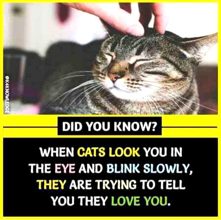 Interesting Posts image