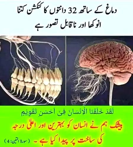 Interesting Posts image