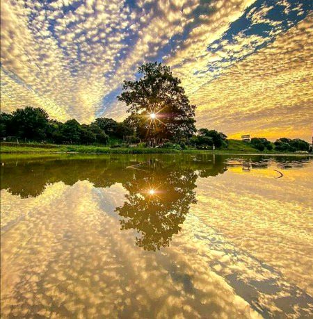 Beautiful Nature image