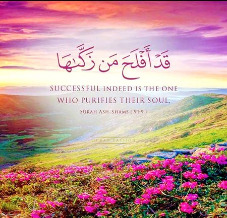 Islamic Quotes image