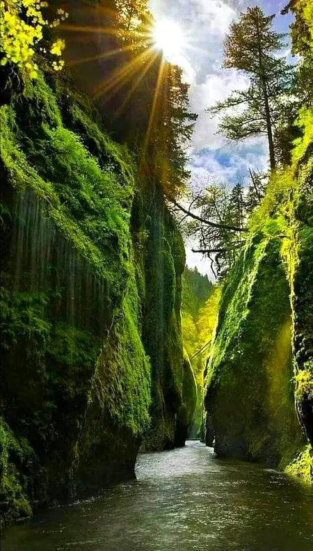 Beautiful Nature image