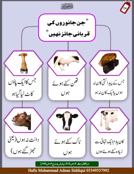 Interesting Posts image