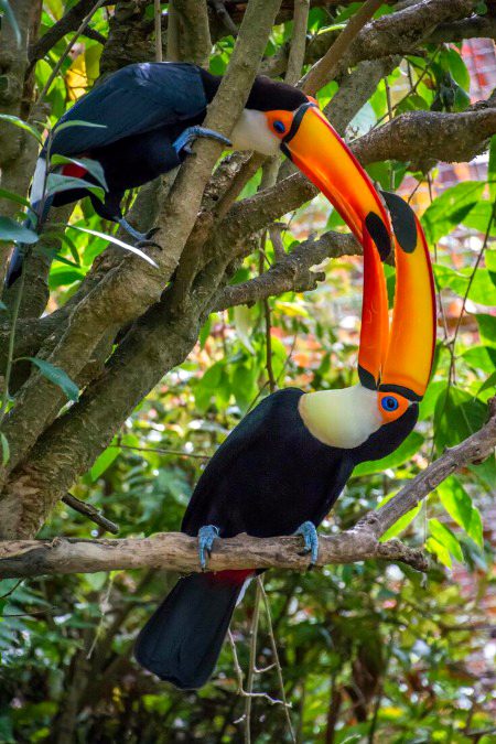 Beautiful Nature image