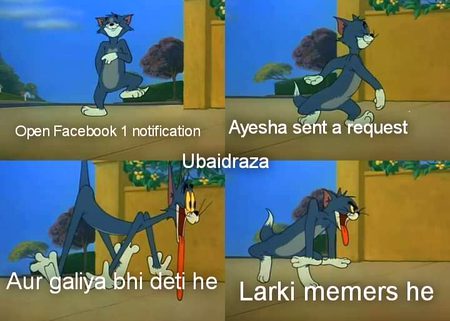 Memes & Satire image