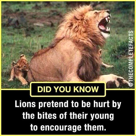 Interesting Posts image