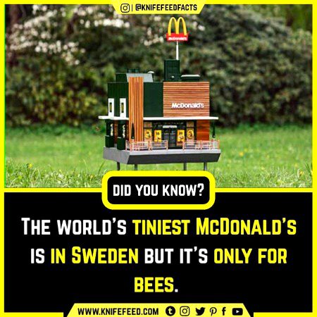 Interesting Posts image