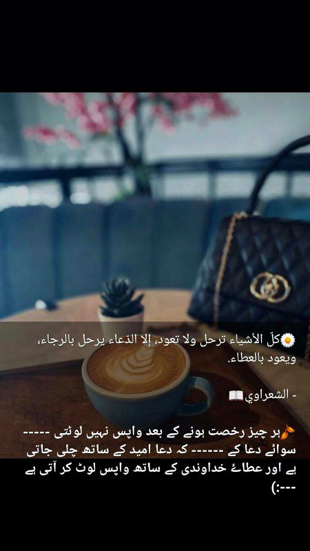 Islamic Quotes image