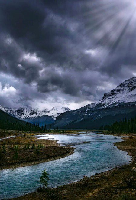Beautiful Nature image