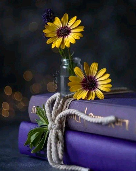 Beautiful Nature image