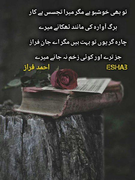 Sad Poetry image