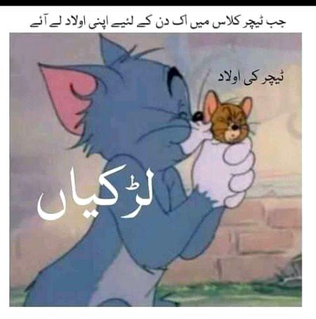 Memes & Satire image